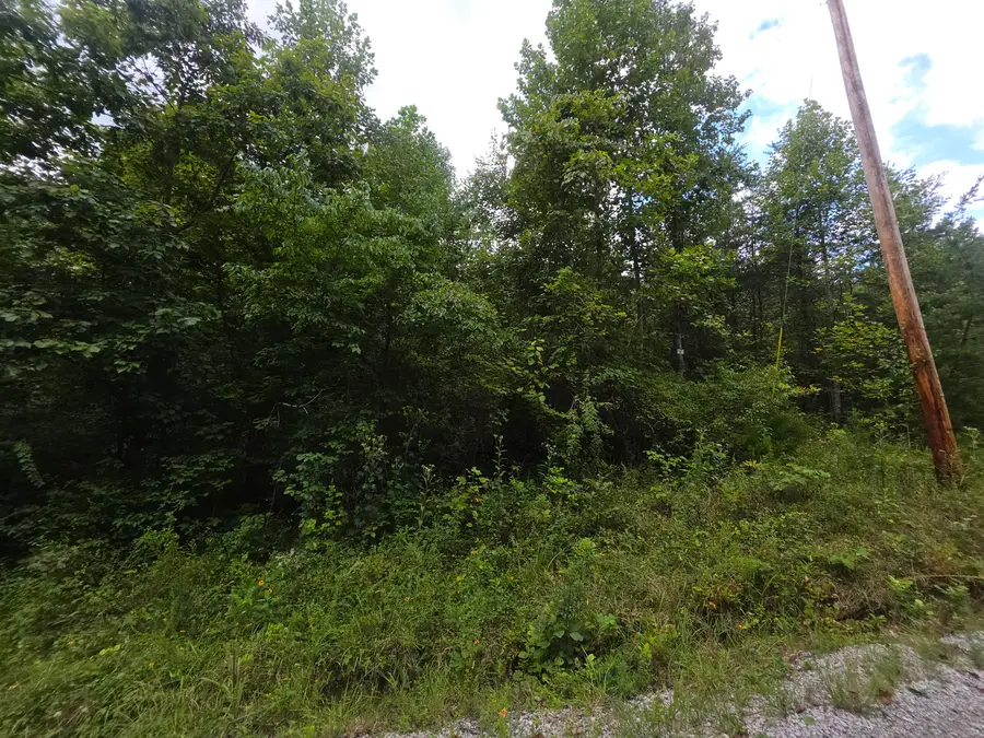 3 Buck Creek Circle, Somerset, KY 42501 - #3
