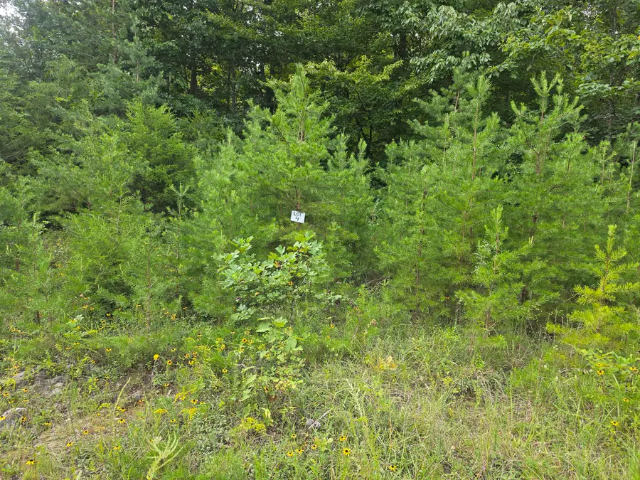 5 Buck Creek Circle, Somerset, KY 42501 - #2