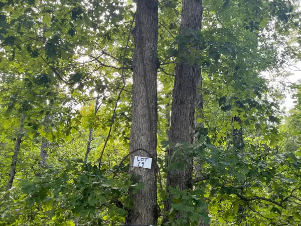 19 Buck Creek Circle, Somerset, KY 42501