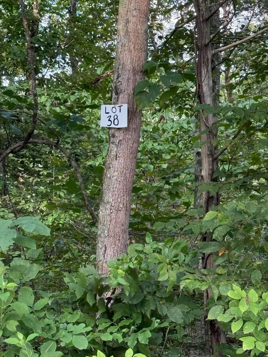 38 Buck Creek Circle, Somerset, KY 42501 - #2