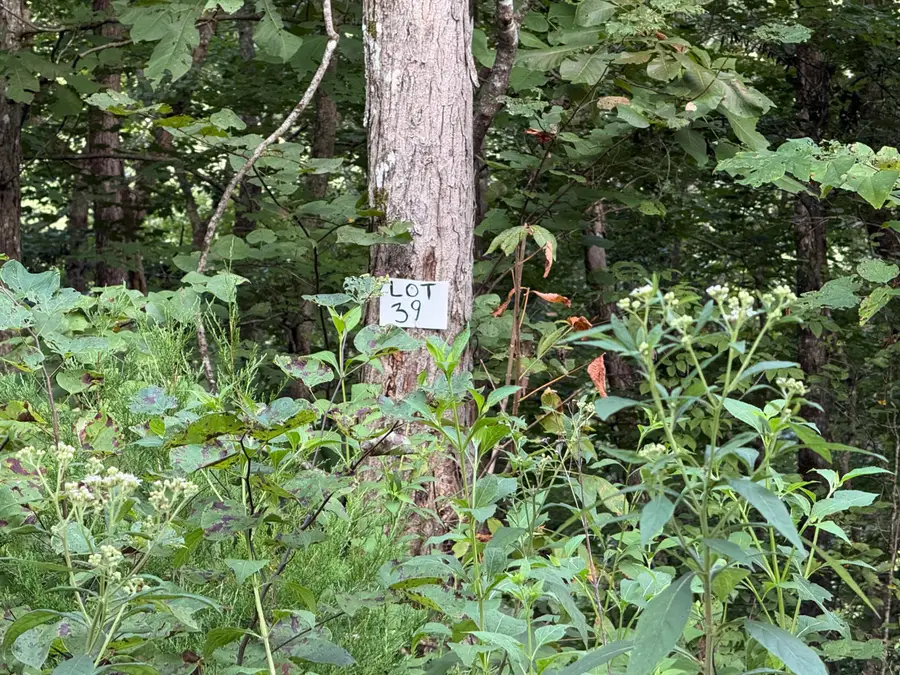 39 Buck Creek Circle, Somerset, KY 42501 - #2