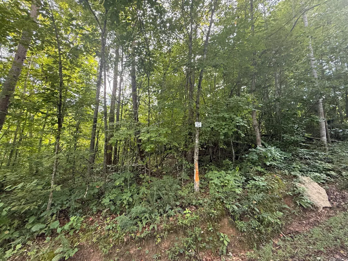 34 Buck Creek Circle, Somerset, KY 42501 - #1