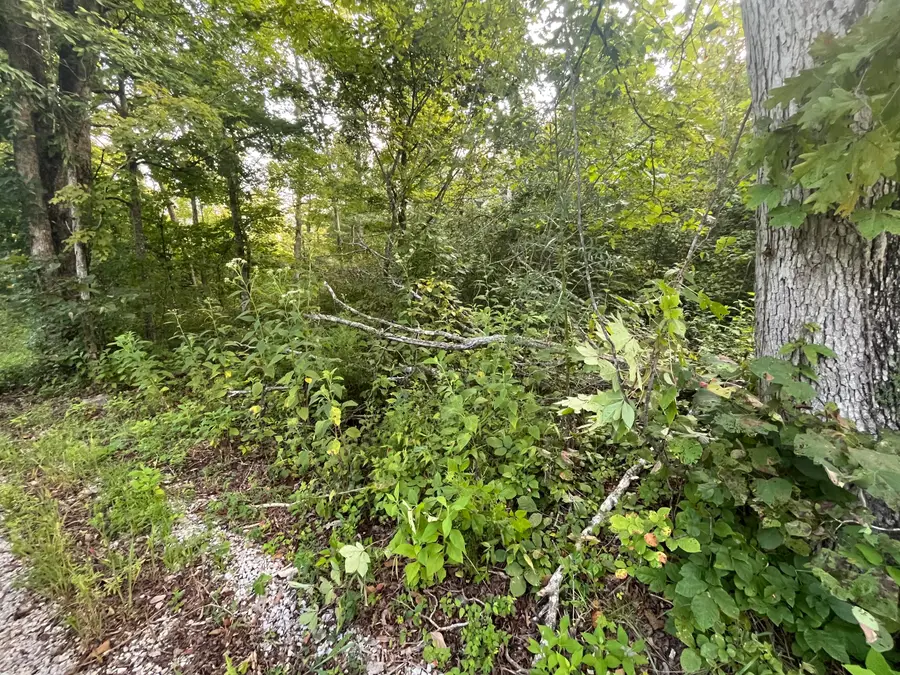 17 Buck Creek Circle, Somerset, KY 42501 - #3