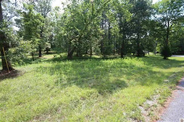 Lot 44 Doe Valley Drive, Benton, KY 42025 - #2