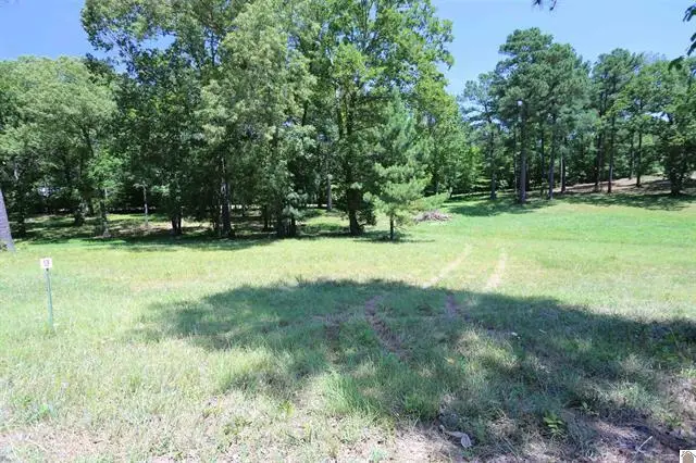 Lot 13 Pine View Drive, Benton, KY 42025 - #2