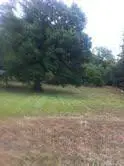 2309 Menelaus Road, Berea, KY 40403 - #3