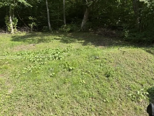 93 Schoolhouse Hollow Road, David, KY 41616 - #3