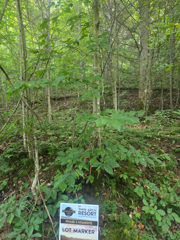 Lot 32 Twin Arch Resort Phase 3 Road, Stanton, KY 40380