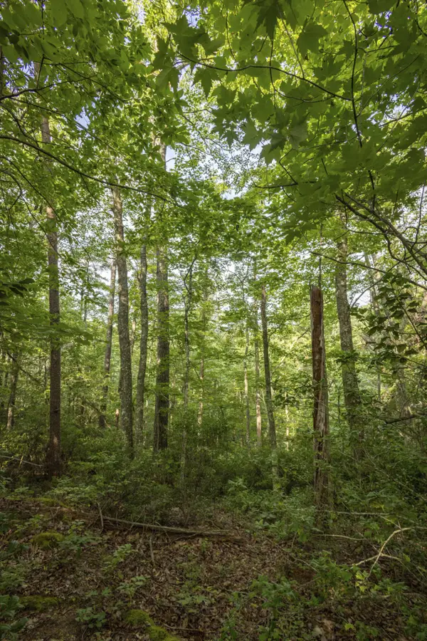 Lot 116-120 Highland Heights, Zoe, KY 41397