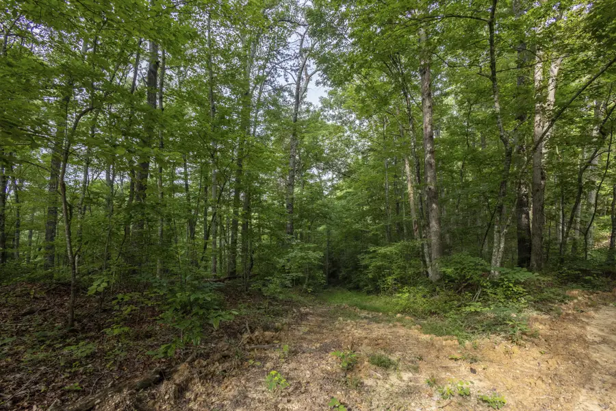 Lot 116-120 Highland Heights, Zoe, KY 41397 - #3