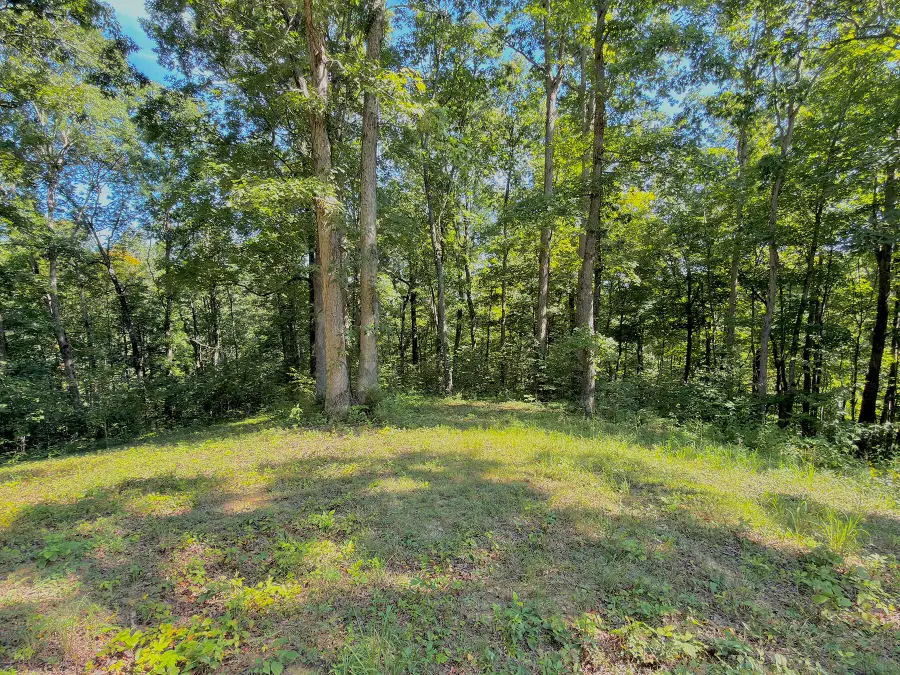 139 W Willow Point Road, Monticello, KY 42633 - #2