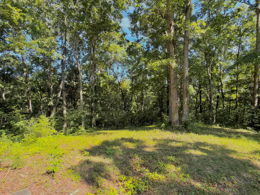 139 W Willow Point Road, Monticello, KY 42633 - #3