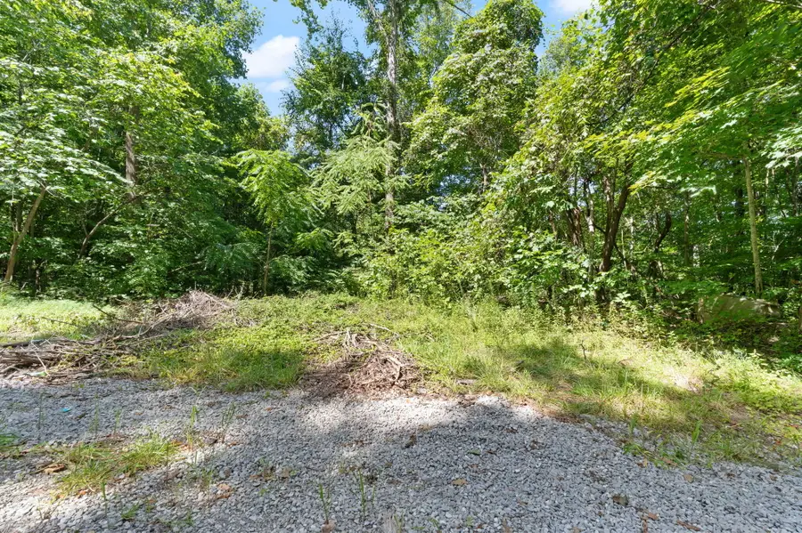 0000 Bill Dee Br Road, Topmost, KY 41862 - #2