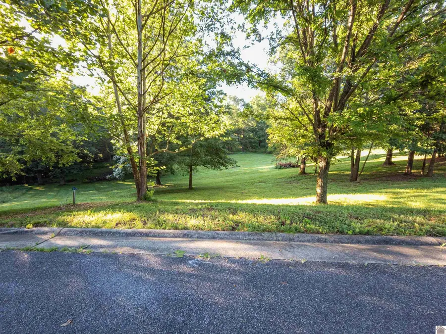 11 Tradition Drive #Lot 11, Benton, KY 42025 - #3