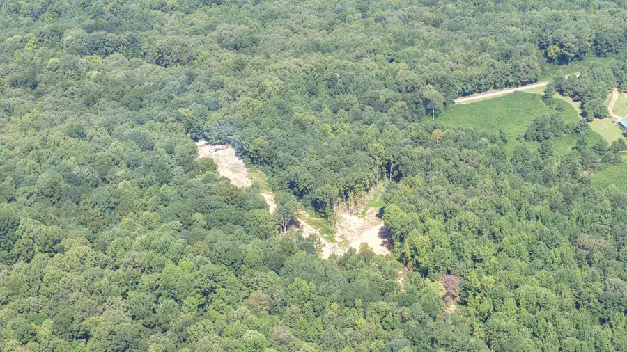 800 Workman Cemetery Road, Dukedom, TN 38226 - #3