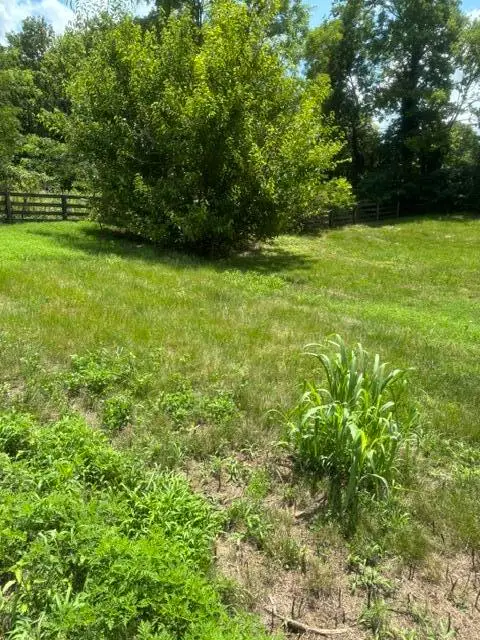 305 Lynnwood Drive, Nicholasville, KY 40356 - #2