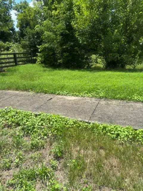 305 Lynnwood Drive, Nicholasville, KY 40356 - #3