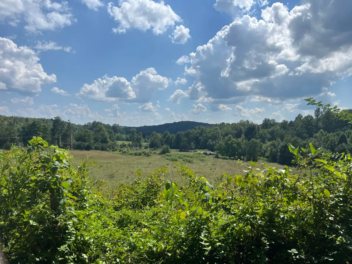 18 Acres E Arthur Adkins Road, Somerset, KY 42501 - #1