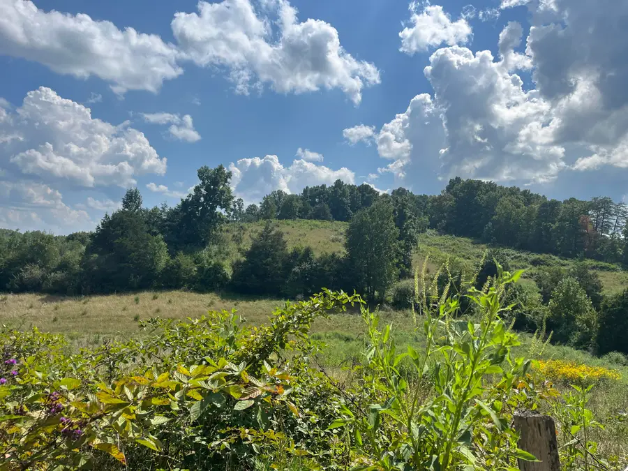 18 Acres E Arthur Adkins Road, Somerset, KY 42501 - #2