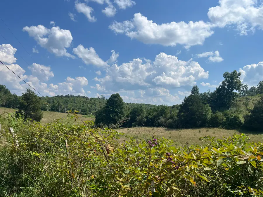 18 Acres E Arthur Adkins Road, Somerset, KY 42501 - #3