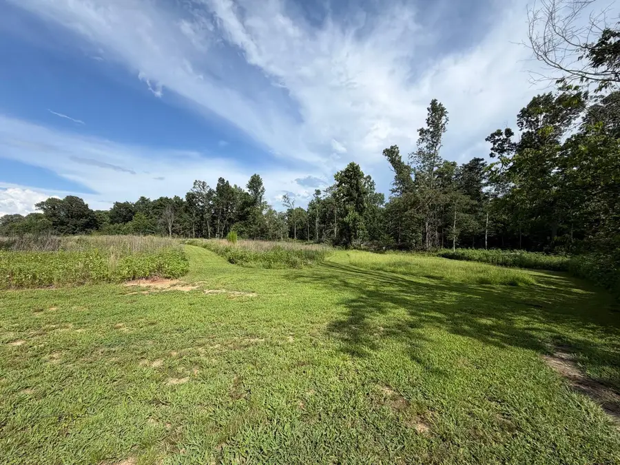 00 Chapel Road, Sedalia, KY 42079 - #3