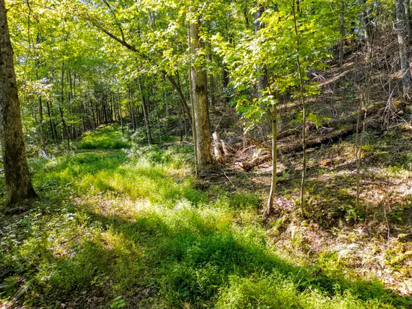 Highlands of RRG Lot 626 Bird Song Trail, Zoe, KY 41397