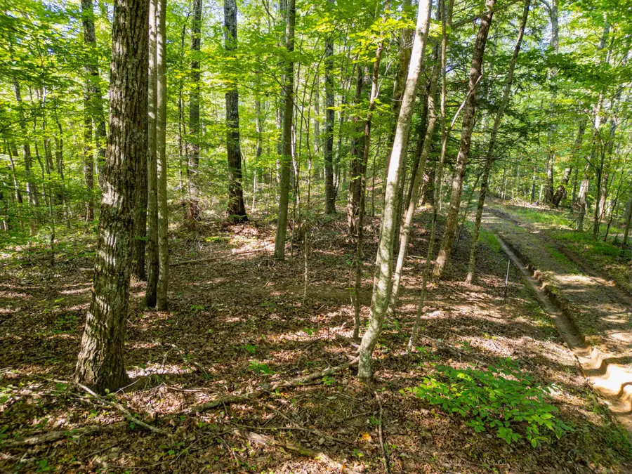 Highlands of RRG Lot 654 Boulder Ridge Road, Zoe, KY 41397 - #3