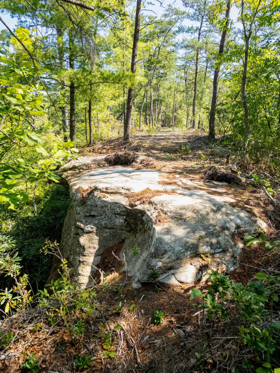 Highlands of RRG Lot 646 Bird Song Trail, Zoe, KY 41397 - #3