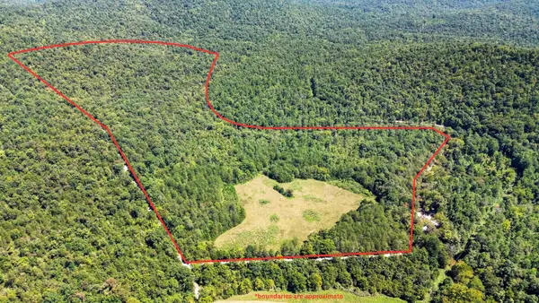 0 Parmleysville Road, Monticello, KY 42633