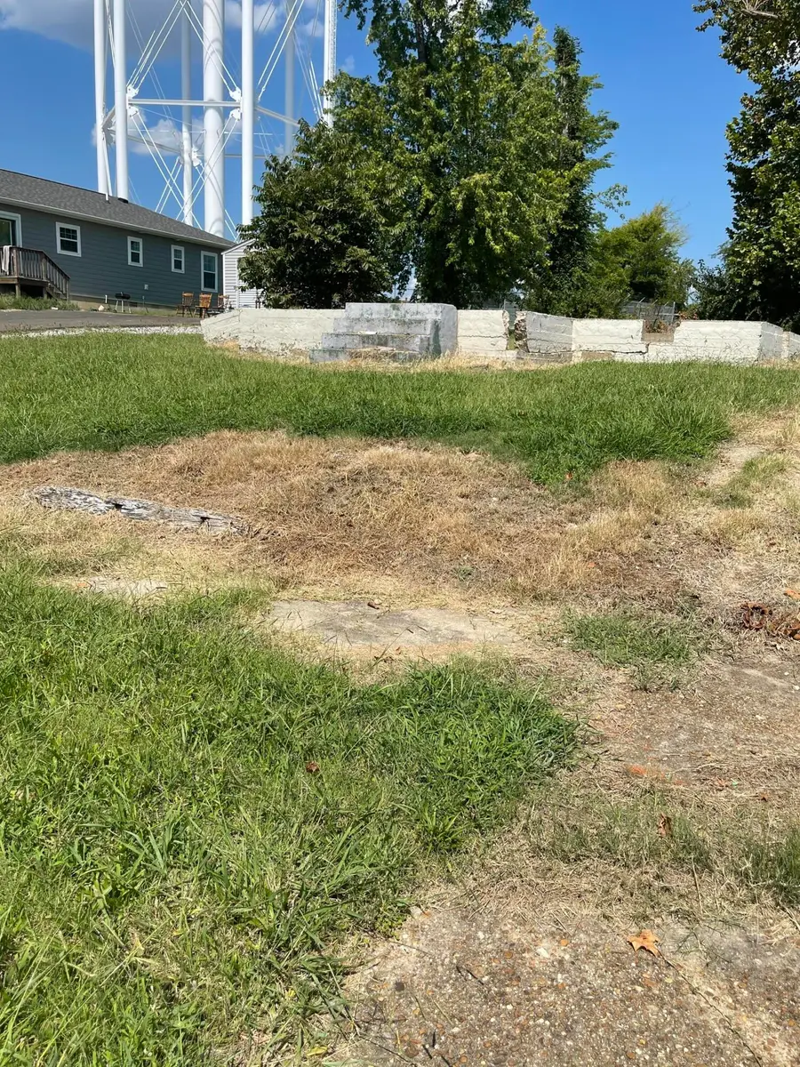 425 W Walnut Street, Mayfield, KY 42066 - #2