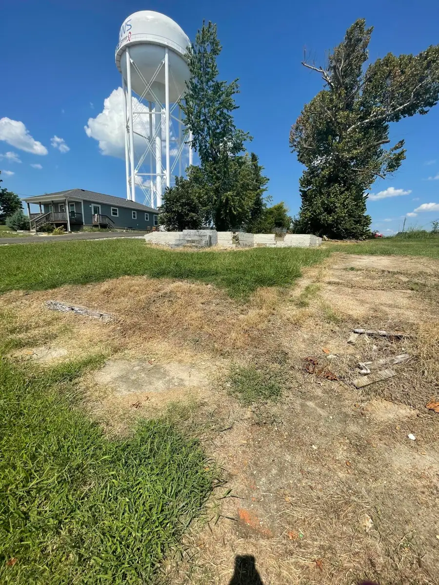 425 W Walnut Street, Mayfield, KY 42066 - #3