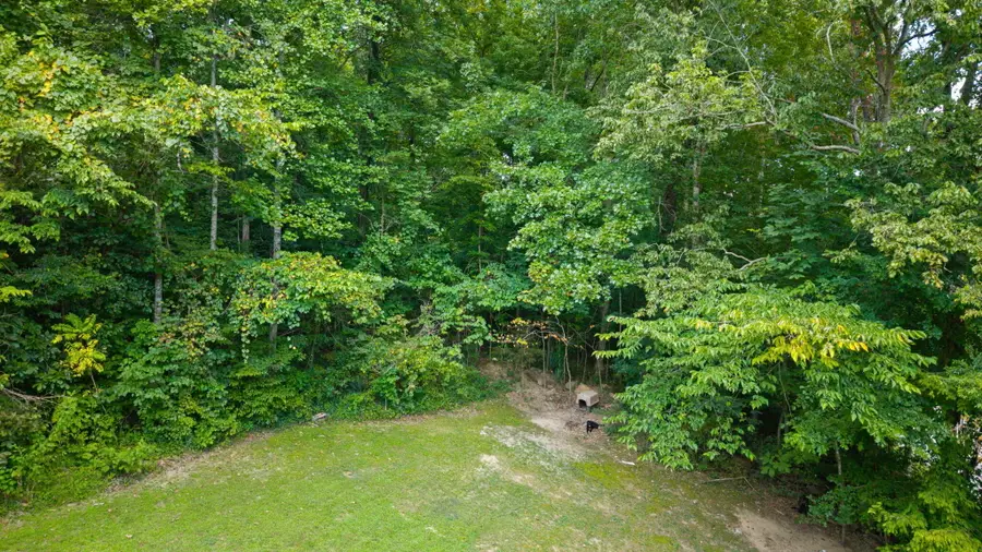 16202 16202 State Highway 200, Monticello, KY 42633 - #3