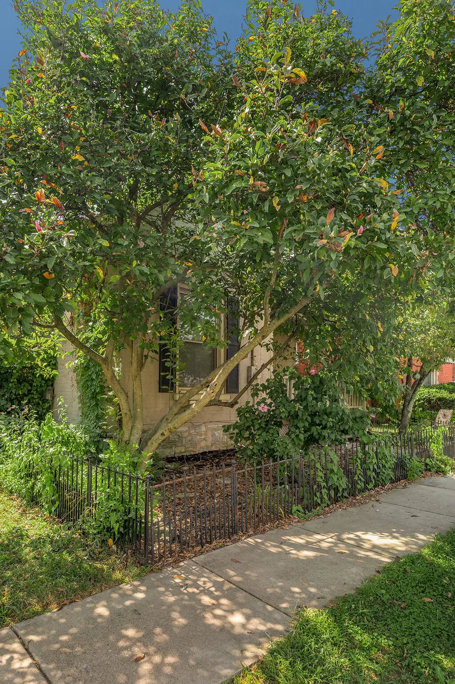 238 E Fourth Street, Lexington, KY 40508 - #3