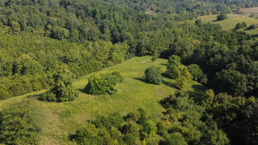 2502 Crooked Creek Rd Road, Carlisle, KY 40311 - #2