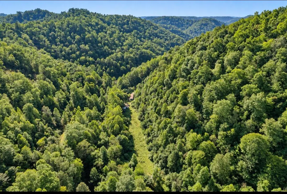 823 Frog Pond Road, Inez, KY 41224 - #1