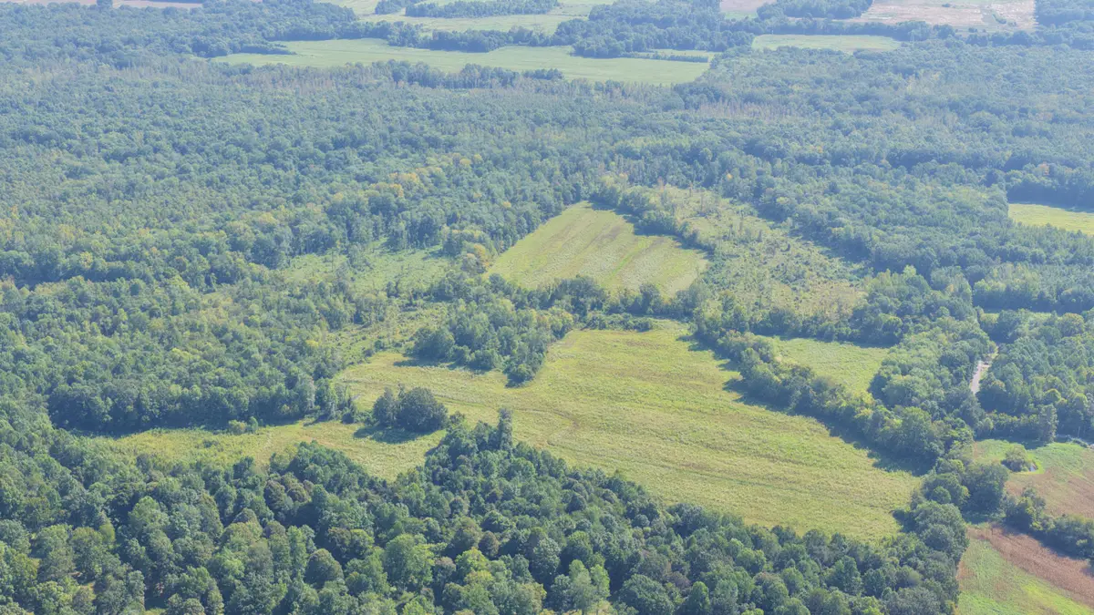 00 Dogtown Road, Benton, KY 42025 - #1