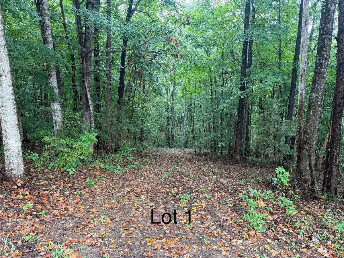5664 Ky-1546 #Lot 1, Monticello, KY 42633 - #1