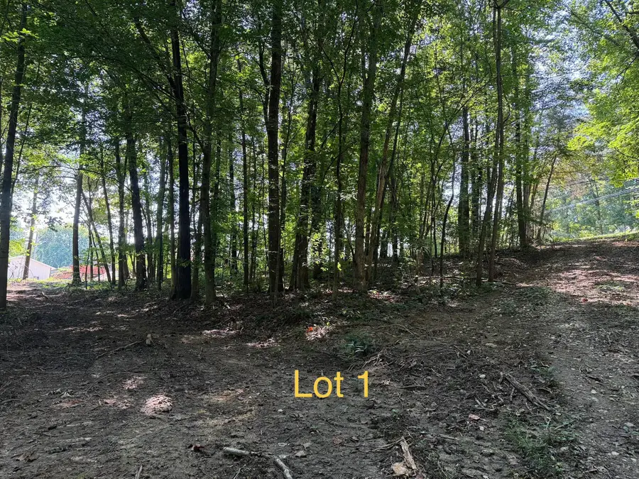 5664 Ky-1546 #Lot 1, Monticello, KY 42633 - #3