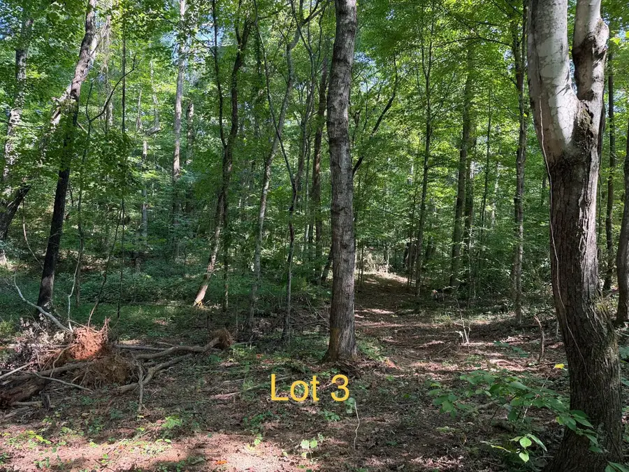 5664 Ky-1546 #Lot 3, Monticello, KY 42633 - #2