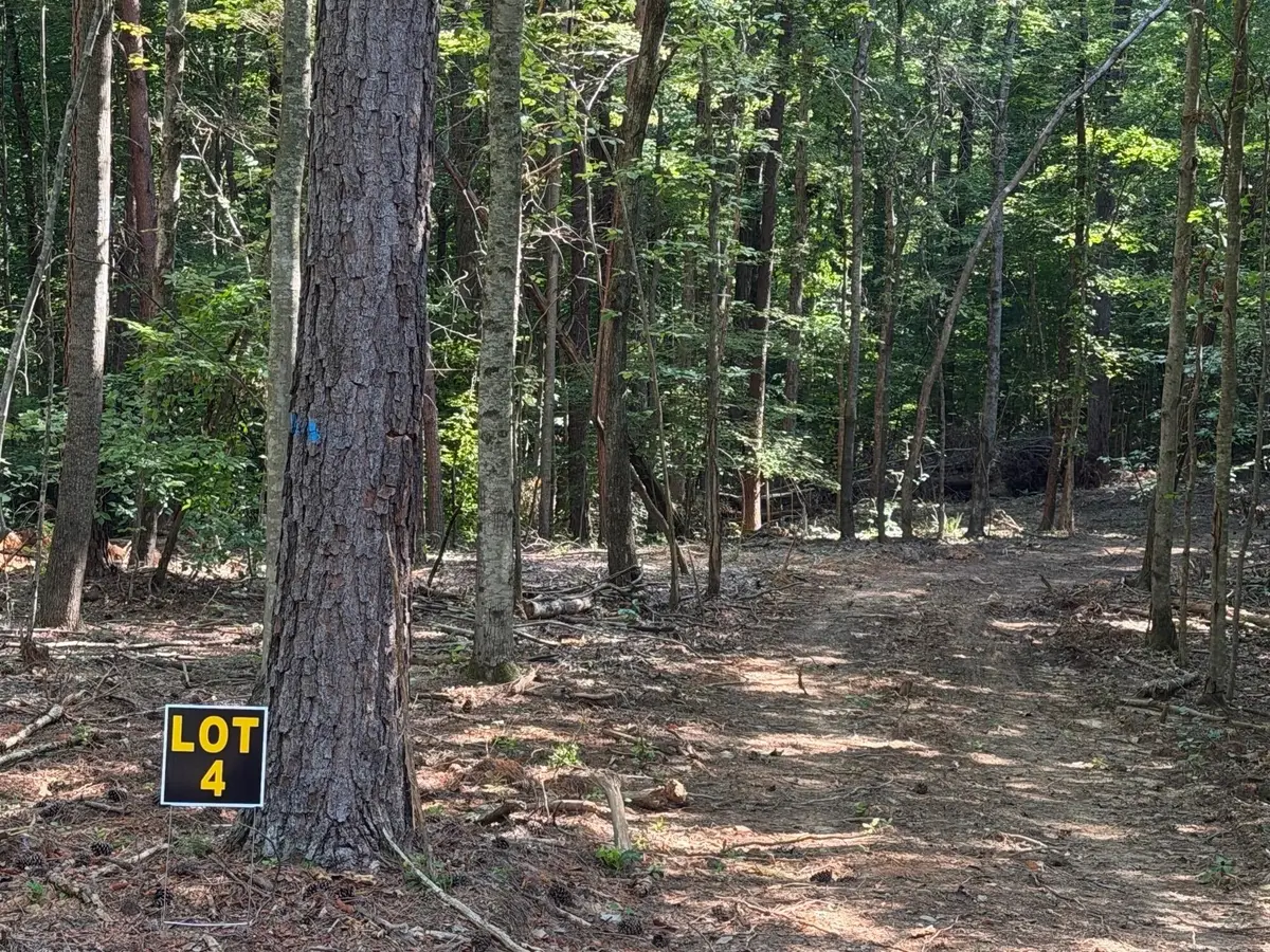 5664 Ky-1546 #Lot 4, Monticello, KY 42633 - #1
