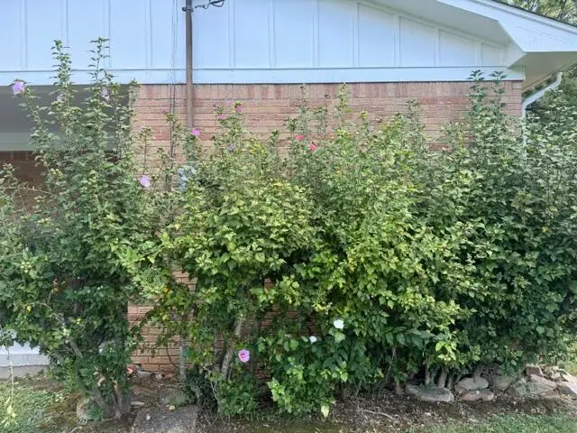 111 Park Lane Drive, Paducah, KY 42003 - #3