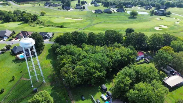 277 Faye Drive, Ledbetter, KY 42058