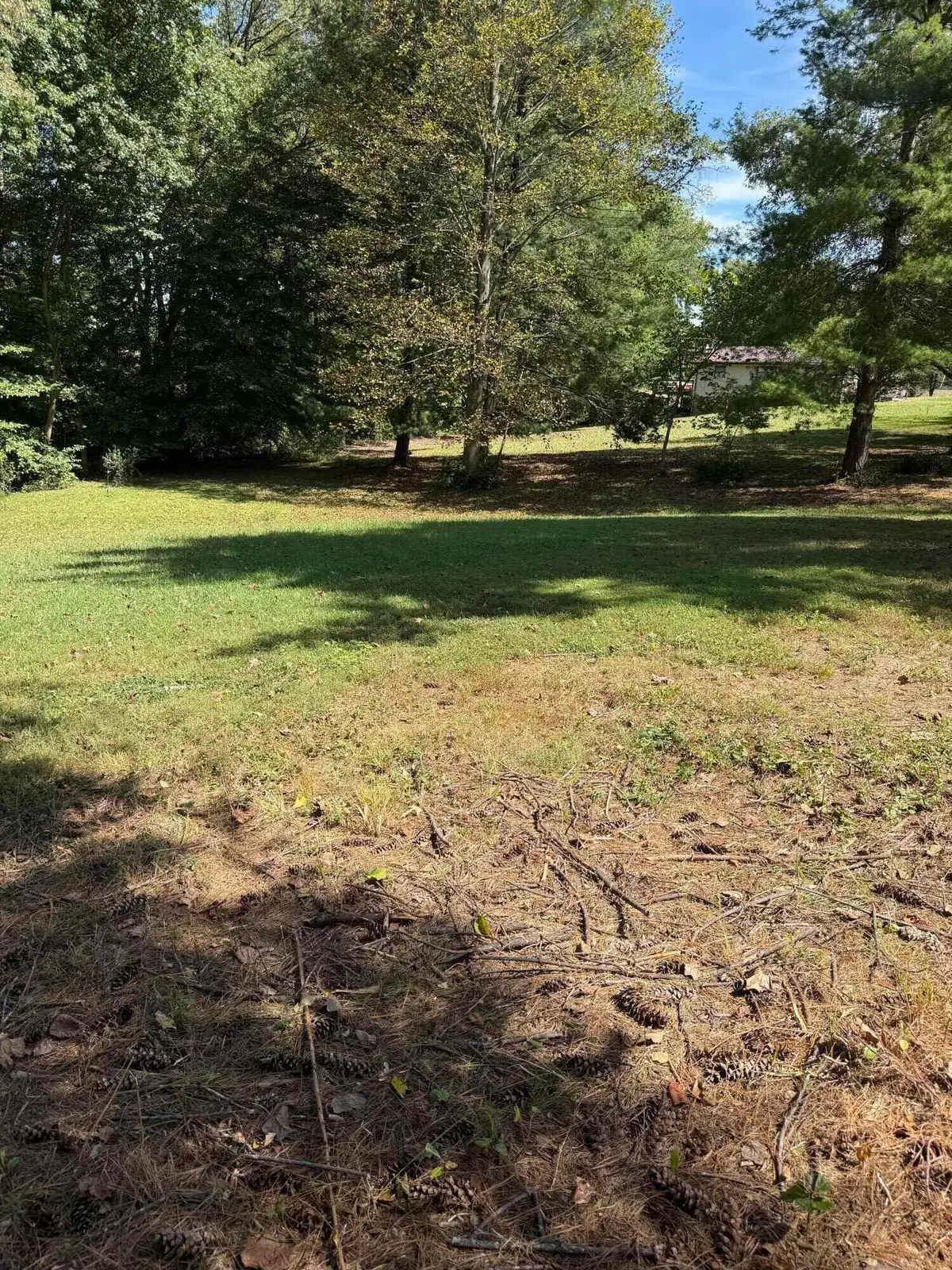 1109 Snow Road, Russell Springs, KY 42642 - #1