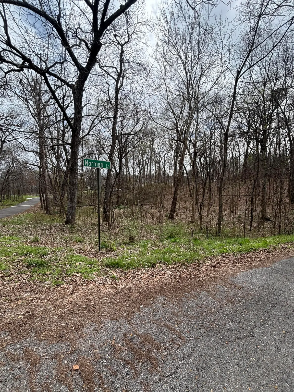 Lot 23 Norman Lane, Mayfield, KY 42066 - #1