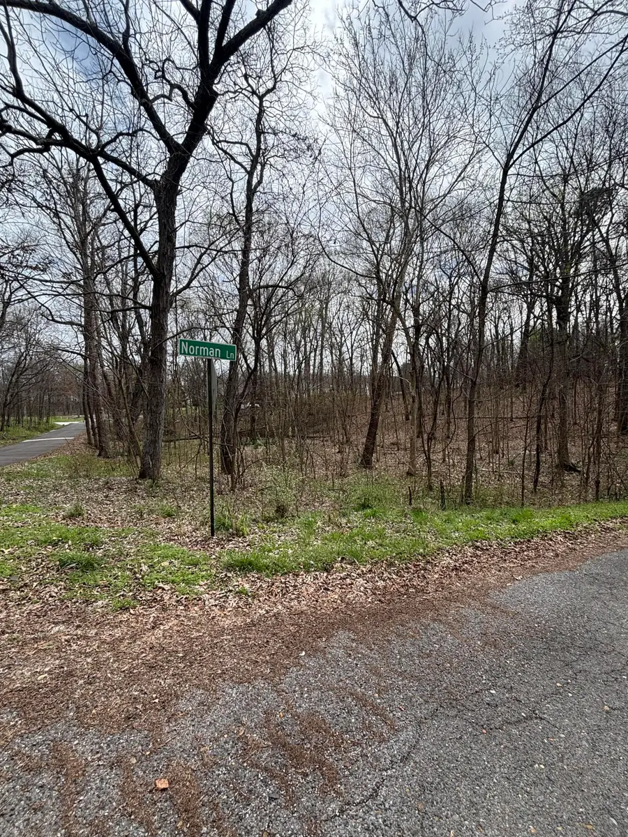 Lot 23 Norman Lane, Mayfield, KY 42066 - #3