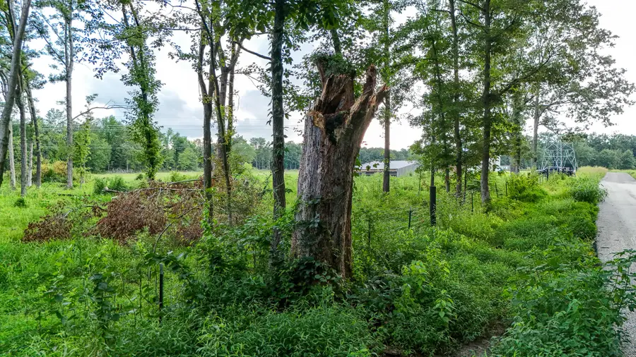 8300 Palestine School Road, West Paducah, KY 42086 - #3