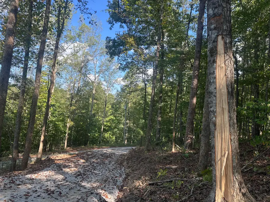591 Rocky Branch Road, East Bernstadt, KY 40729 - #3