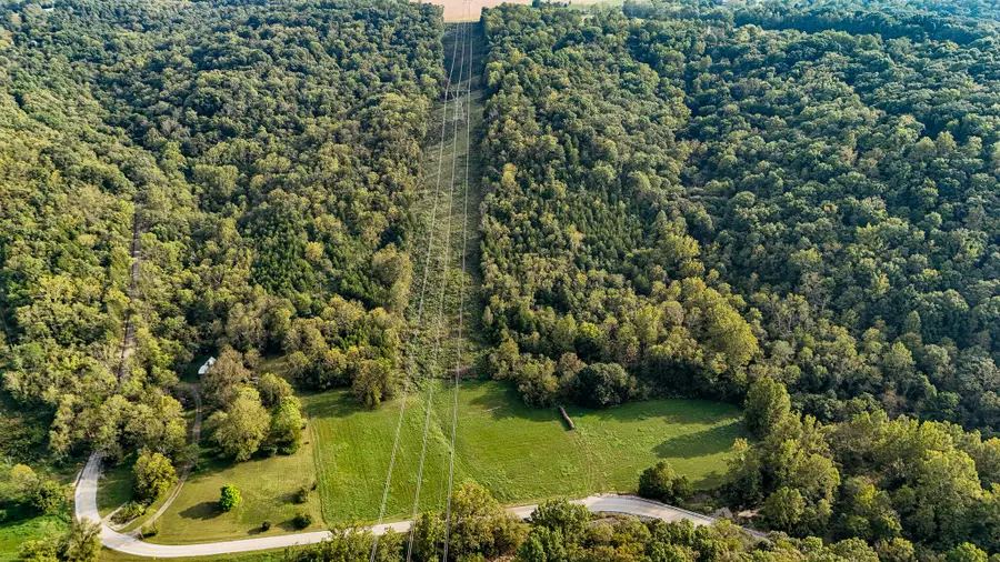 Tract 1 Parcel 2  61.468 Acres Mount Pleasant Road, Bedford, KY 40006 - #2