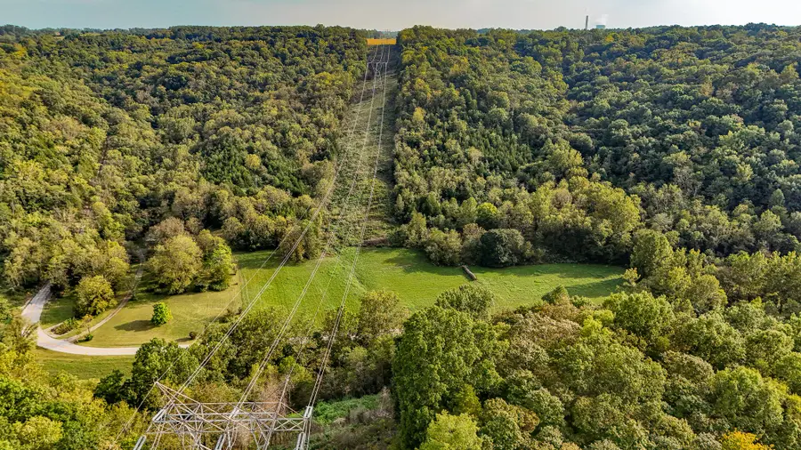 Tract 1 Parcel 2  61.468 Acres Mount Pleasant Road, Bedford, KY 40006 - #3