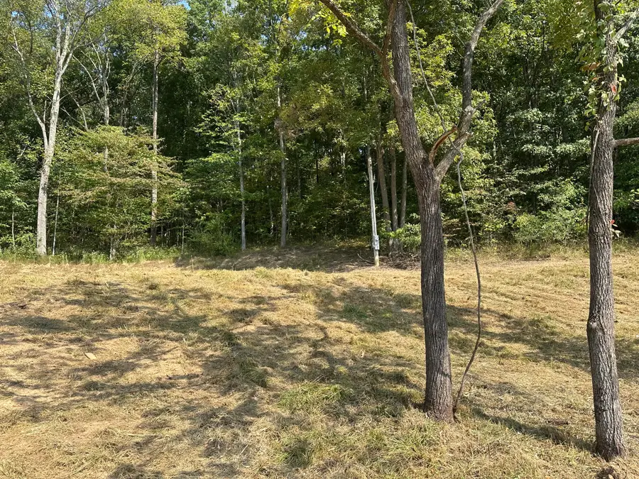 Lot 65 Bluestone Drive, East Bernstadt, KY 40729 - #2